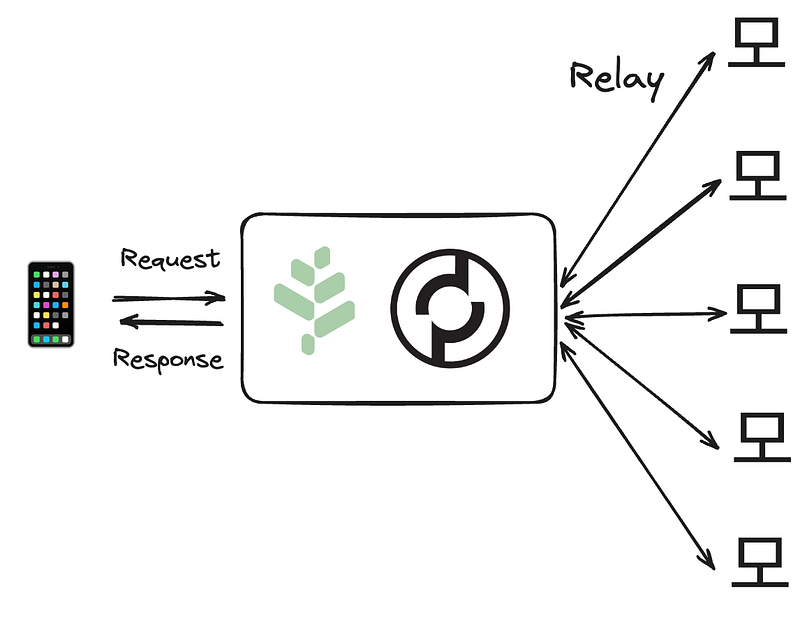 Grove and Pocket Network Routing Diagram